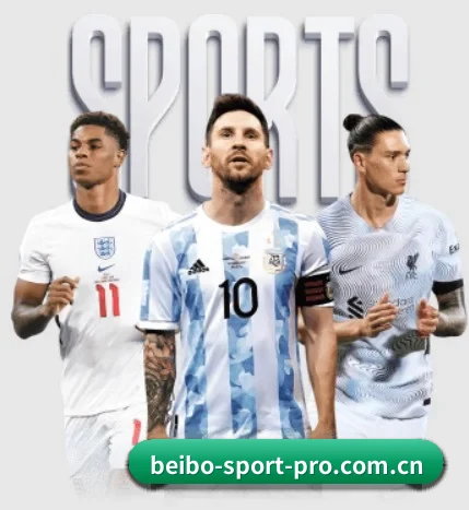 五大服务分区,信息按项目分类 - 多运动项目内容板块